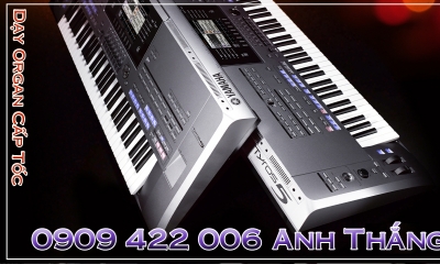 Về Đâu Mái Tóc Người Thương - Học Đàn Organ Cấp Tốc TPHCM